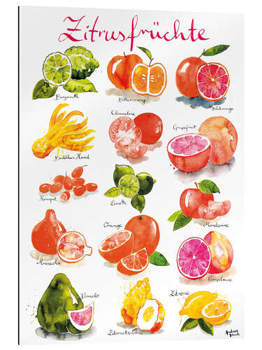 Gallery print Citrus fruits (German)