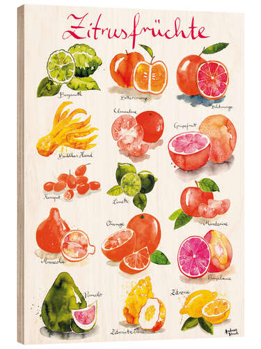 Trebilde Citrus fruits (German)