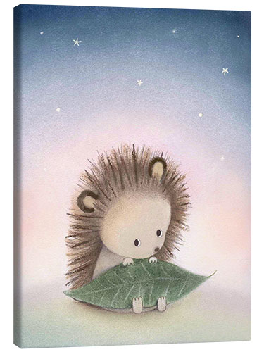 Obraz na płótnie Little hedgehog