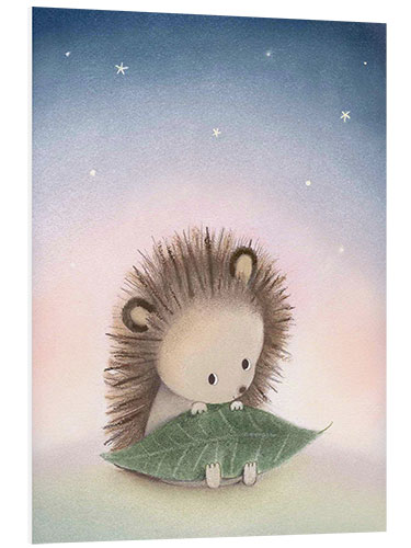 PVC-tavla Little hedgehog