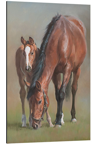 Aluminiumsbilde Mare with a foal