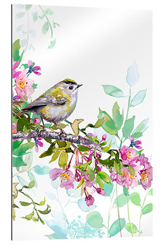 Galleriprint The little kinglet