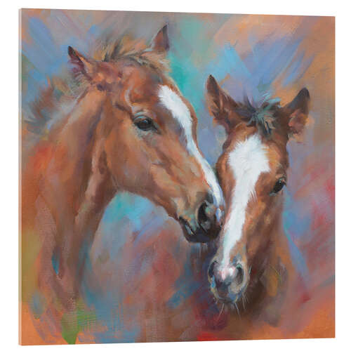 Acrylic print Pferdekuss