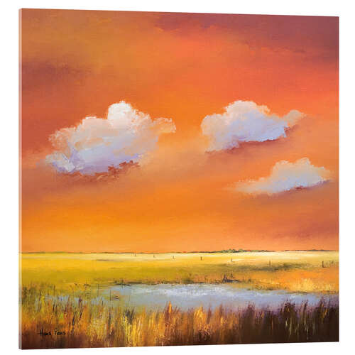 Acrylic print Sunset in the fields