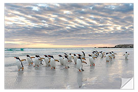 Sticker mural Manchots papous sur une plage de sable