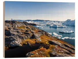 Obraz na drewnie Ilulissat Icefjord