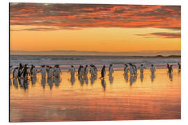 Magnettafel Pinguine bei Sonnenuntergang am Strand