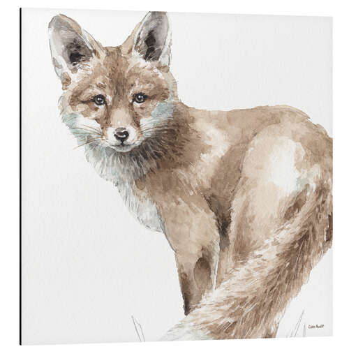 Aluminium print Forest Friends - Fox