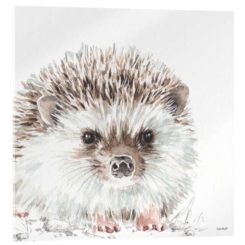 Akrylbillede Forest Friends - Hedgehog