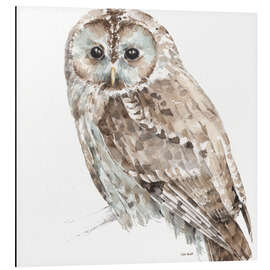 Aluminium print Forest Friends - Owl