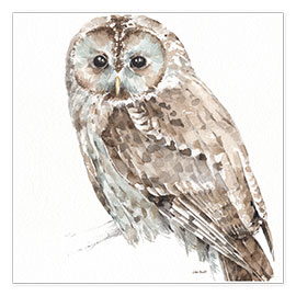 Wall print  Forest Friends - Owl - Lisa Audit