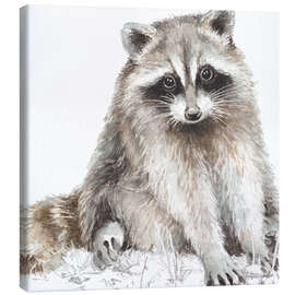 Canvas print Forest Friends - Raccoon