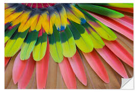 Wall sticker Native feather headdress II