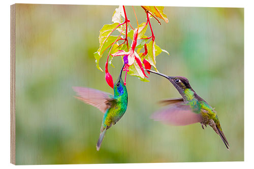 Holzbild Zwei Kolibris an einer Blüte