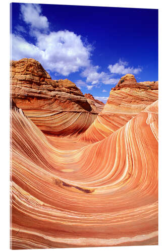 Acrylic print The Wave in Coyote Buttes