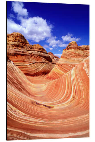 Stampa su alluminio The Wave in Coyote Buttes