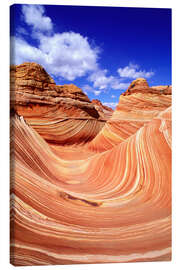 Tableau sur toile La vague de Coyote Buttes