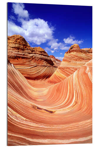 Gallery print The Wave in Coyote Buttes