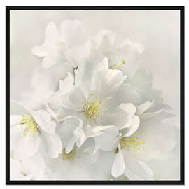 Gerahmter Kunstdruck Weiße Frühlingsblüten IV