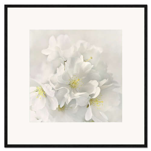 Framed art print White spring blossoms IV