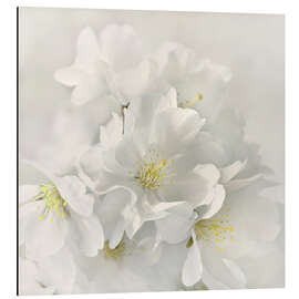 Magnettafel Weiße Frühlingsblüten IV