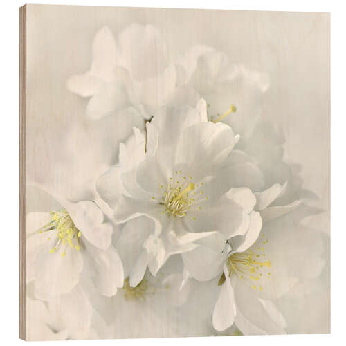 Wood print White spring blossoms IV