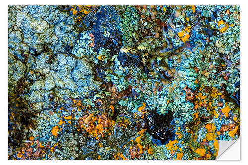 Muursticker Stone with lichen II