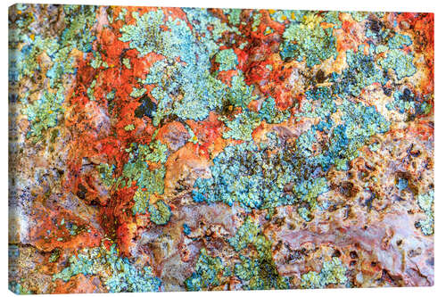 Canvastavla Stone with lichens III