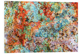 Foam board print Stone with lichens III