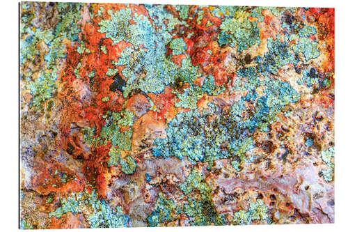 Tableau en plexi-alu Roche et lichen III