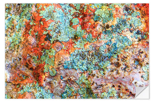 Selvklebende plakat Stone with lichens III