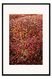 Gerahmter Kunstdruck Kona Kaffeebohnen