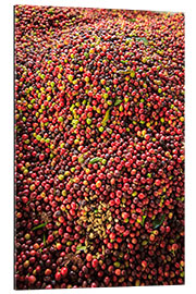 Galleriprint Kona coffee beans