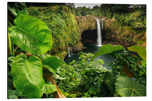 Aluminiumsbilde Rainbow Falls