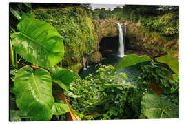 Stampa su alluminio Rainbow Falls