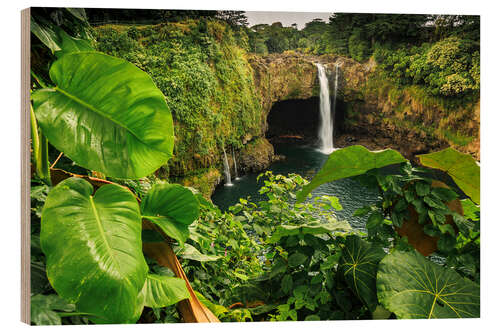 Tableau en bois Rainbow Falls