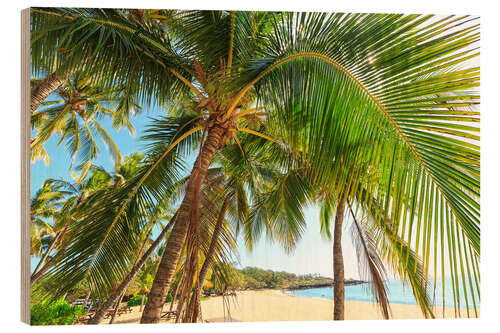 Puutaulu Hulopo'e Beach