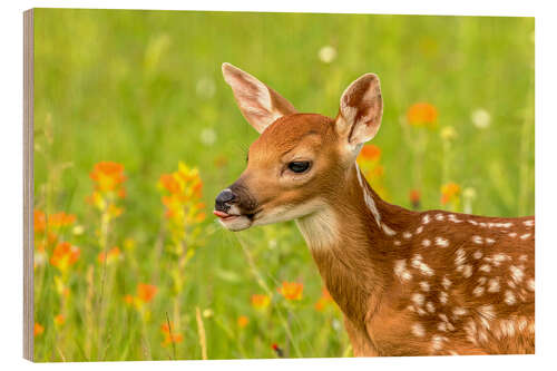 Wood print Fawn III