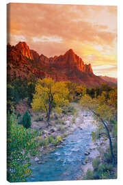 Canvas print Evening light on the Watchman Peak