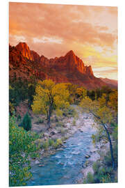 Foam board print Evening light on the Watchman Peak