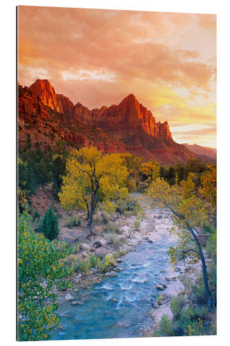 Galleritryk Evening light on the Watchman Peak