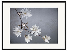 Ingelijste kunstdruk White magnolia blossoms