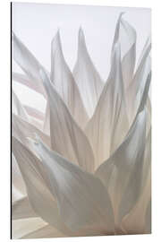 Magnettafel Blüte der Dahlie