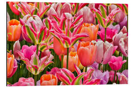 Tableau en aluminium Tulipes I