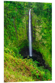 Foam board print Akaka Falls in Hawaii