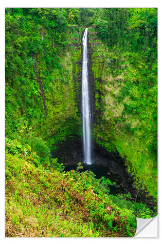 Wandsticker Akaka Falls auf Hawaii