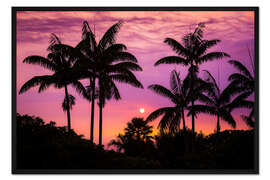 Gerahmter Kunstdruck Sonnenuntergang an der Kona Coast