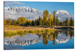 Aluminiumtavla Mt. Moran and the Teton mountains