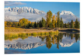 Print på skumplade Mt. Moran and the Teton mountains