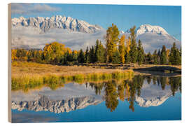 Hout print Mt. Moran and the Teton mountains